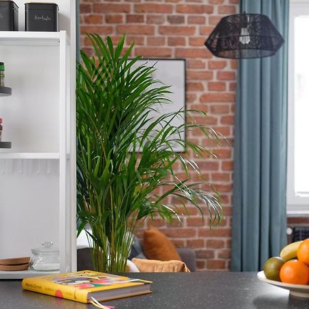 Mikroklimatyczny Apartament Dla 4 Osob - Blisko Szlakow, W Centrum Szklarska Poreba Ngoại thất bức ảnh